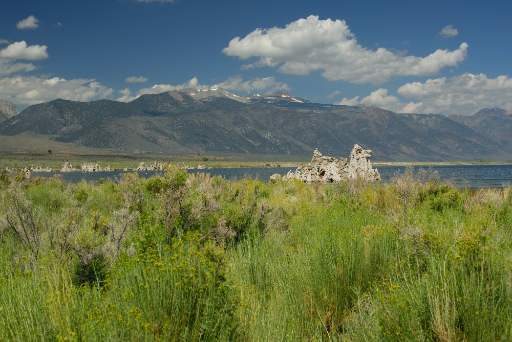Tufa formation at Mono Lake-9 8-4-06