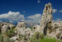 Tufa formation at Mono Lake-3 8-4-06