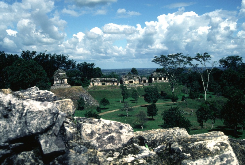 Temple of the Count and Northern Group at Palenque Mexico 12-81
