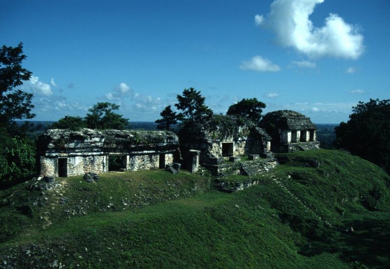 Temple ruins at Palenque 12-81