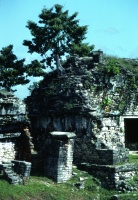 Building ruins at Palenque 12-81