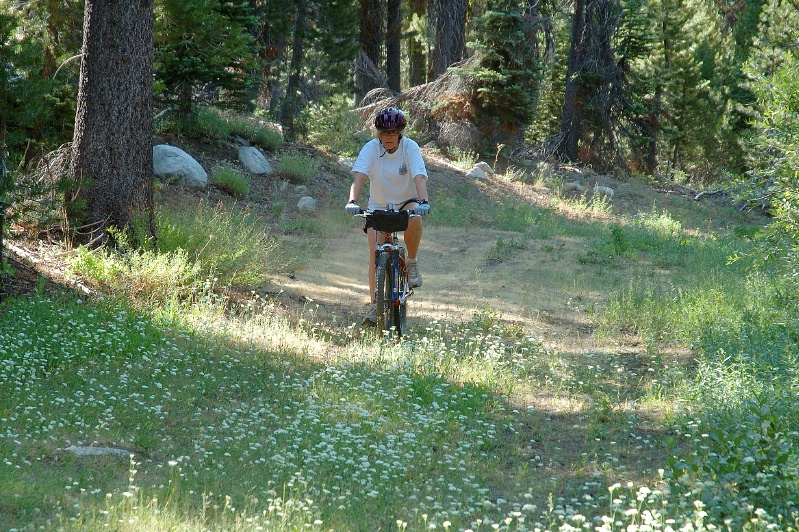 leisure lakes mtb