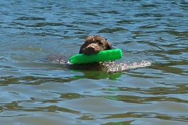Miles swimming in Lake Serena-01 7-28-07