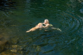 Calla LC swimming in Long Lake near Serene Lakes-01 7-29-07