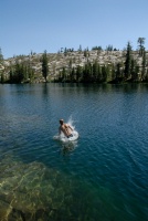 Brett jumping off rock into Long Lake near Serene Lakes-05 7-29-07
