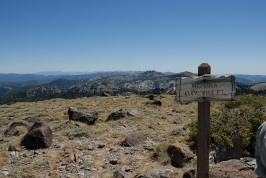 Summit sign on Mt Lola in Tahoe National Forest 8-7-07