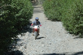 Craig Martens riding dirt bike down old Soda Springs Rd near Serene Lakes-06-2 8-5-07