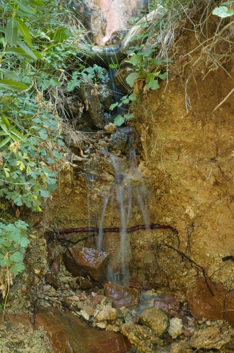 EW-Cascading water at Weeping Rock in Zion Park UT 8-31-05