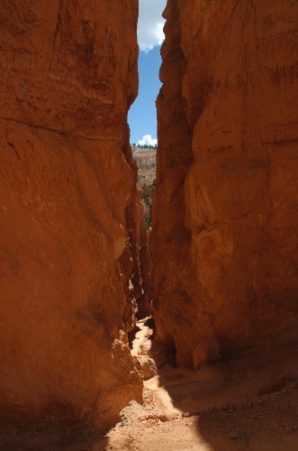 HO-Narrow canyon of Wallstreet area of Bryce Canyon UT 9-1-05