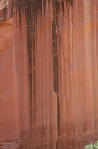 OB-Water stained banding of rock walls of Grand Wash in Capitol Reef Park UT 9-2-05