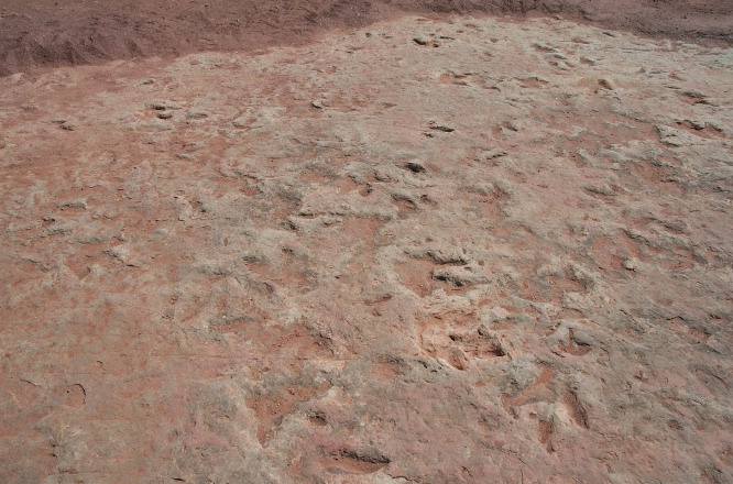 QNW-Dinosaur tracks in rocks near Tuba City Arizona-2 9-5-05