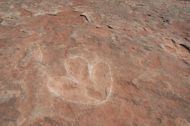 QNY-Dinosaur tracks in rocks near Tuba City Arizona-3 9-5-05