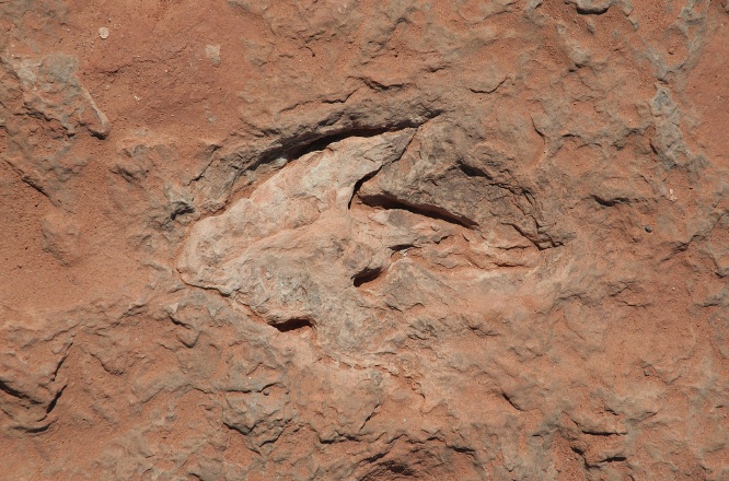QOC-Dinosaur tracks in rocks near Tuba City Arizona-8 9-5-05