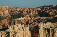 JO-Late afternoon sunlight on hoodoos in Bryce Canyon UT 8-31-05