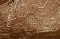 PA-Petroglyph on rock in Capitol Gorge at Capitol Reef Park UT 9-2-05