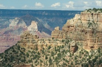 QQG-Ridges near Kaibab trail in Grand Canyon AZ 9-5-05