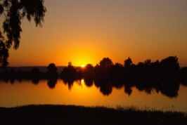 Sunrise over Woodward reservoir near Oakdale CA 8-6-81
