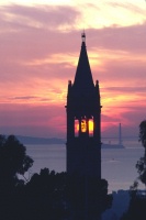 Berkeley Campanile at sunset 11-83