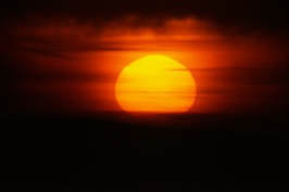 Sun setting over the Presidio 11-83