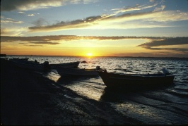 Pongas on beach at sunset at Mag Bay Mexico 2-86