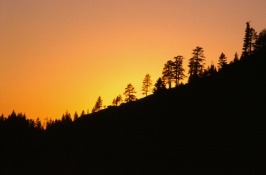 Sunrise over tree lined ridge in the Sierras