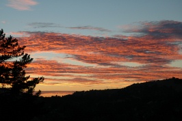 Sunset colored clouds from home in Moraga 7-17-04