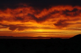 Dawn light at Ocotillo Wells OHV-15 3-6-07